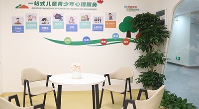 深圳精神心理健康服務(wù)指南 首康醫(yī)院、兒童專家與心理咨詢費用解析
